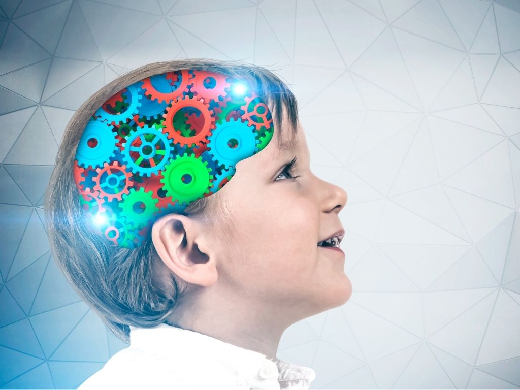 el cerebro del niño